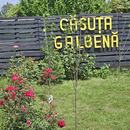 Villa Casuta Galbena Eforie Nord Exterior foto